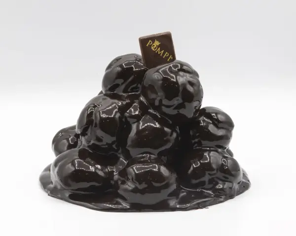 Torta profitterol compleanno, un tripudio di cioccolato lucido e goloso, coronata da un quadratino con logo.